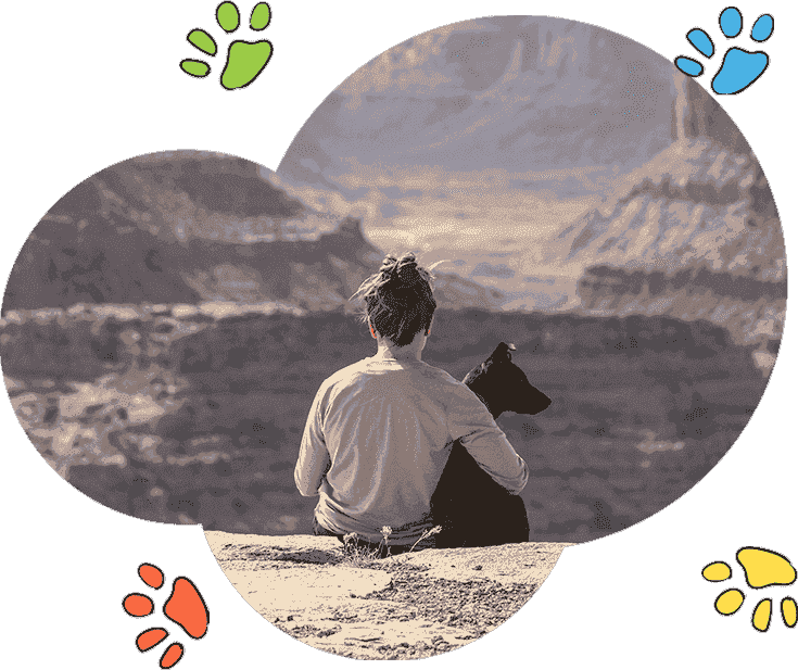 ddos攻击器安卓ios下载